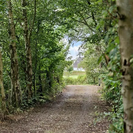 Lf11124-struer-vesterkaervej-24